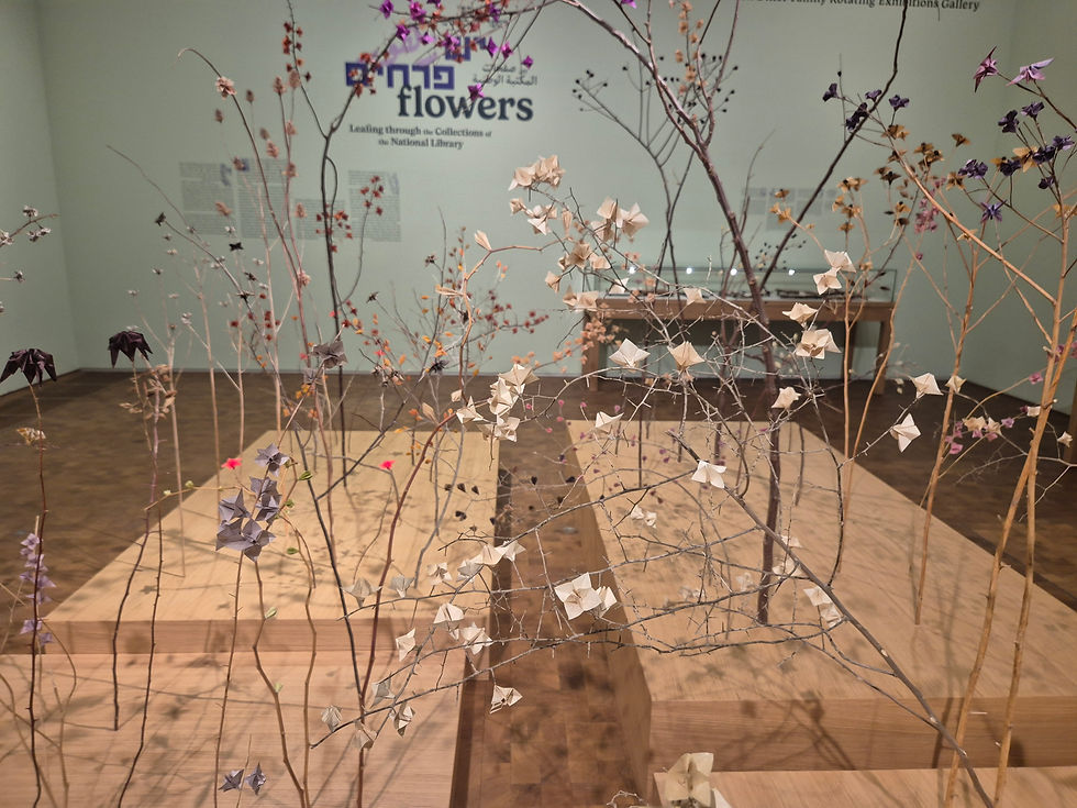 הספרייה הלאומית-צלמה גילי מצא
