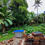 Thumbnail: Land Image