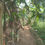 Thumbnail: Image