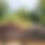 Thumbnail: image
