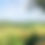 Thumbnail: image