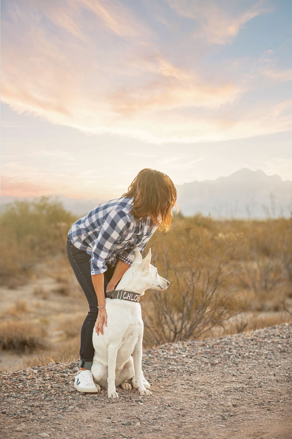 Looking into the sunset