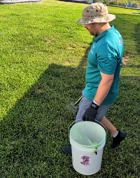 Troopers Pet Waste Removal Wesley Chapel FL Dog Poop Scooping