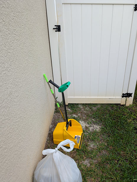 Reliable dog poop scooping service