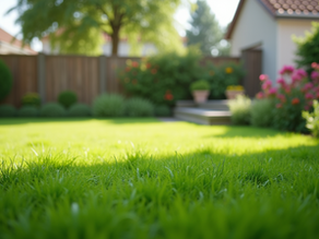 The Importance of Hiring Experts for Dog Waste Cleanup