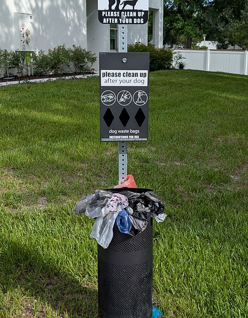waste_station_trail_head_edited.jpg
