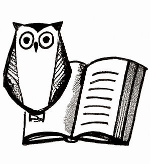 Wise Stories Owl