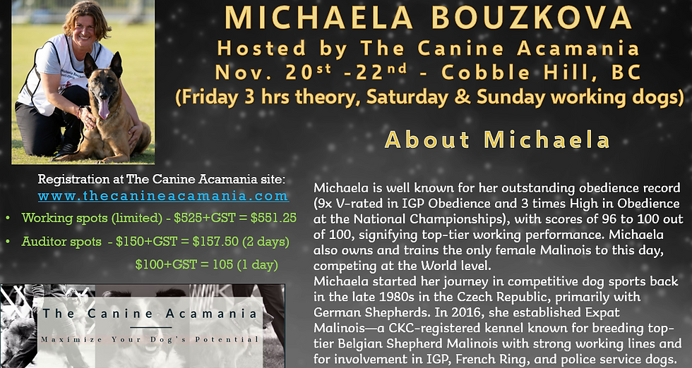 Michaela's workshop Poster Pic.png