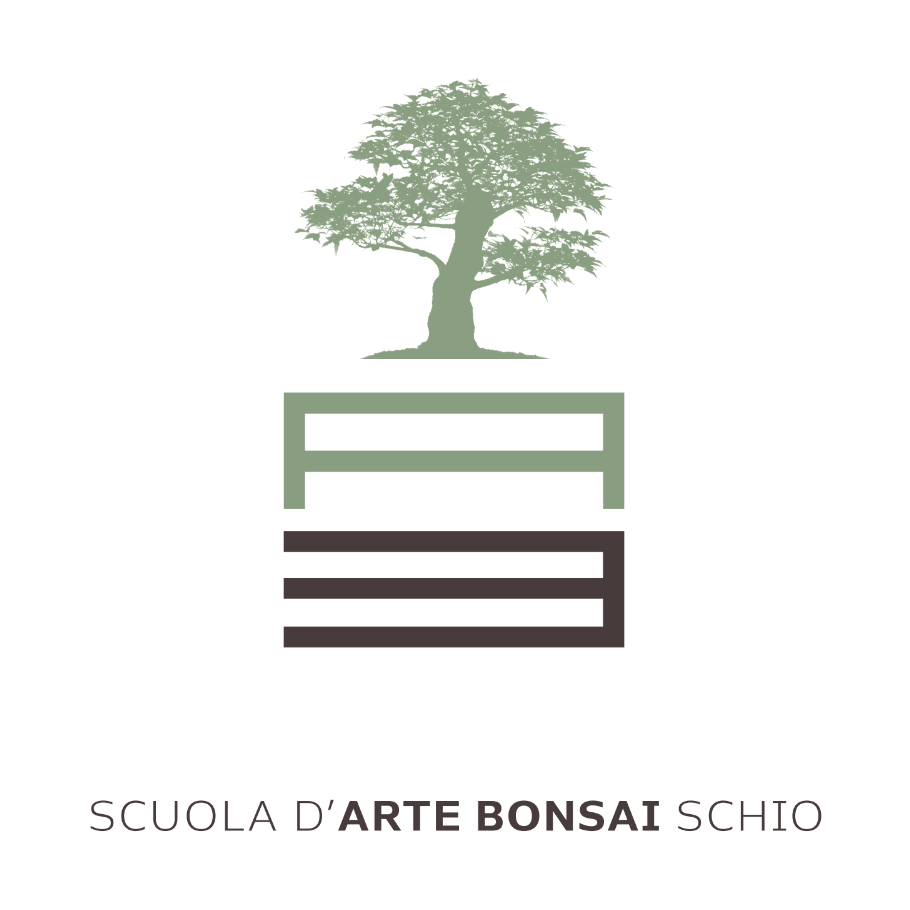 scuola d'arte bonsai schio