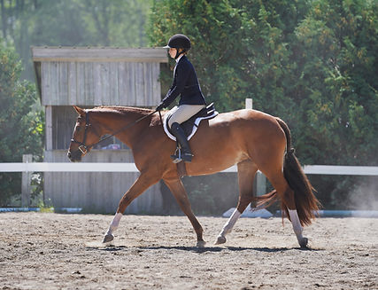HSE140821_0262.jpg