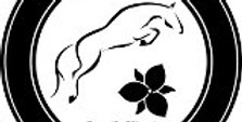 SWLogo.jpg