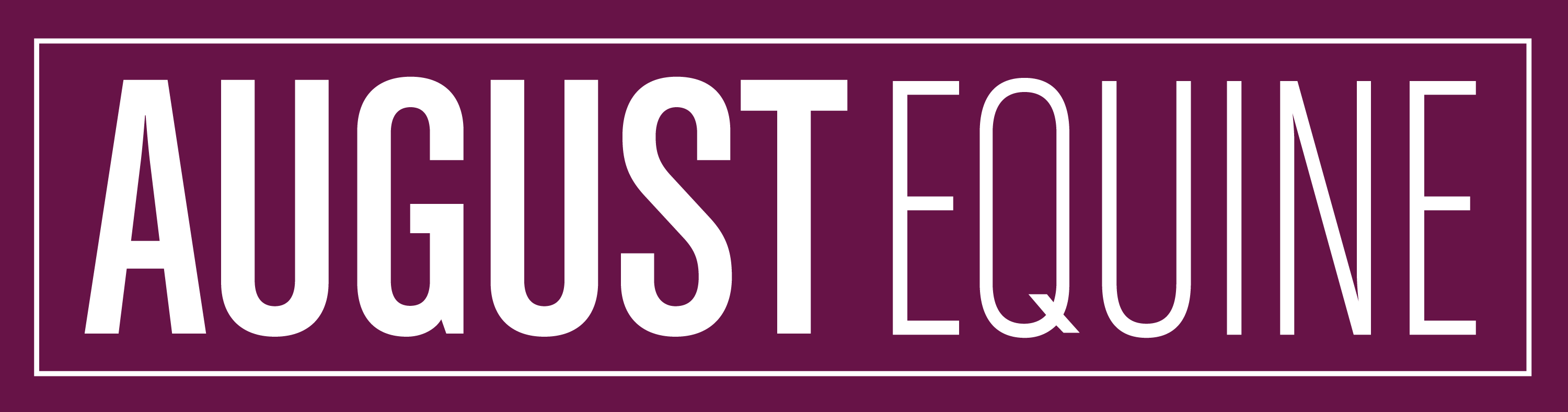 AugustEquine_Logo-preview