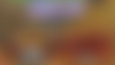 Grande Final da Liga Terrão Estadual 2025: Sport Boca SGO e Bar100lona se enfrentarão em busca do tão sonhado título.