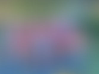 Feras Futsal em Ação na 4ª Copa América de Futsal, em Campo Grande MS