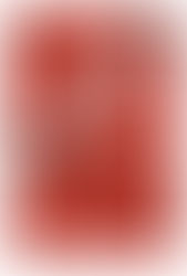 Ook met de Academie is het 'Menens!'