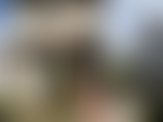 2 Family Home for Sale in Whitestone NY