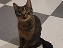 ROSCOE_edited.png