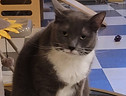 TENLEY_edited.jpg