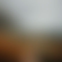 Mountain Path, North Wales by Bronwen Griffiths