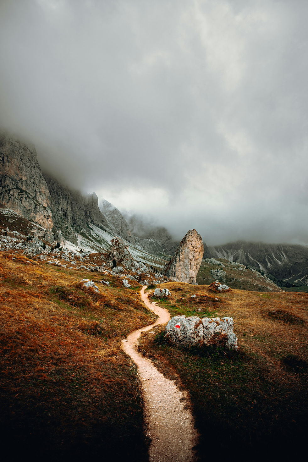 Photo by Daniel J. Schwarz on Unsplash