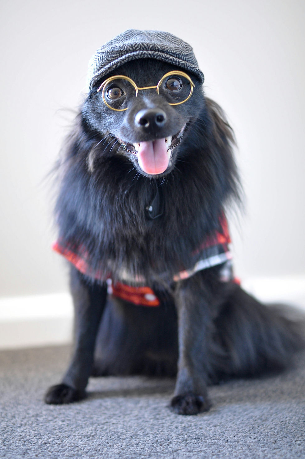 Photo by Pearl Lynn on Unsplash
