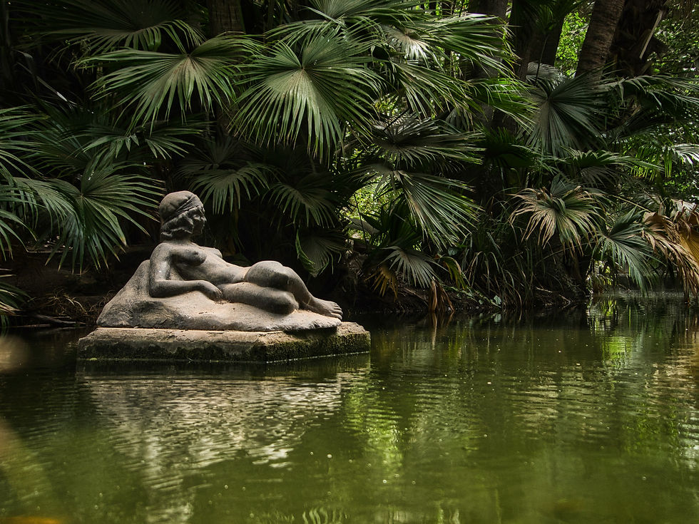 Photo by Guenifi Ouassim on Unsplash