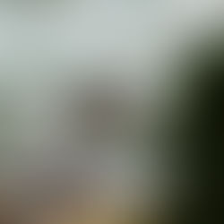 Beyond the Chattering Flush by Mizuki Yamagen