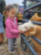 FB_IMG_1701541286835