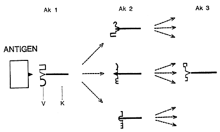 med 1984.gif