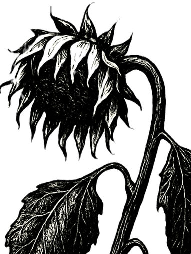 B90/Die Grünen x JvM.Viel Geld. Wenig Gefühl. Noch weniger Wirkung.