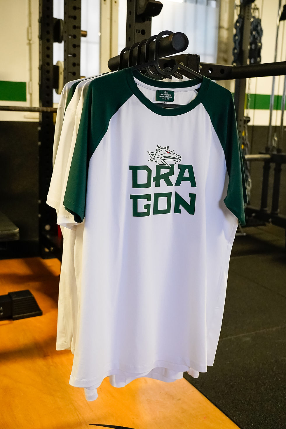 Miniaturbild: „DRAGON“, T-Shirt grün-weiß