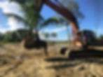 moving palm.jpg