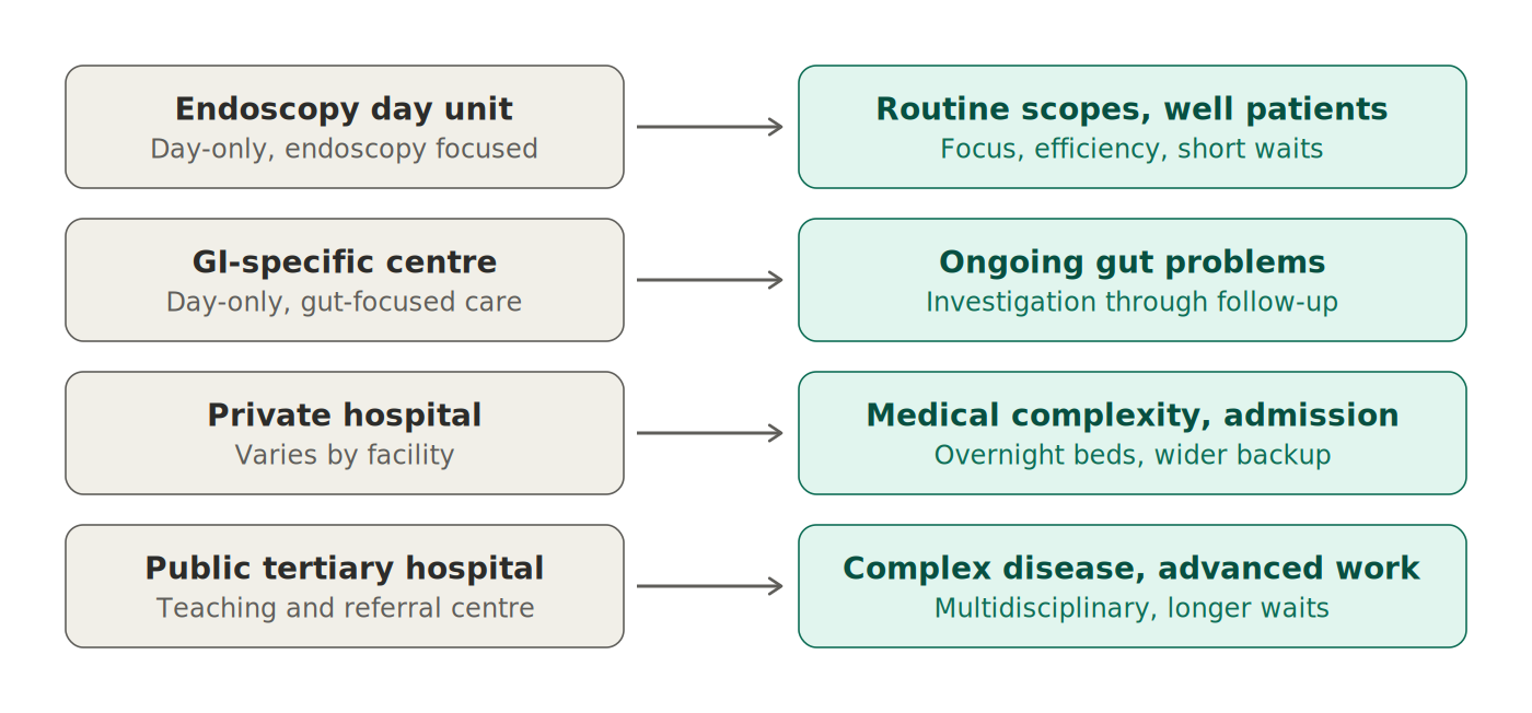 Chart matching four endoscopy settings to what each is built for: day unit, gastroenterology centre, private hospital and public tertiary hospital.