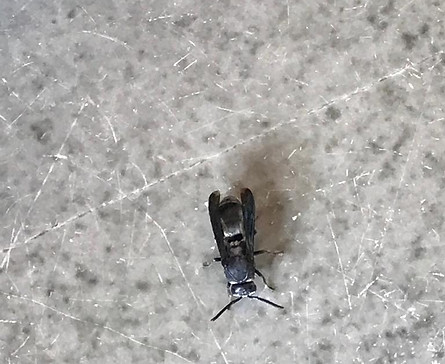 WhatsApp Image 2023-10-27 at 8.19.22 PM.jpeg