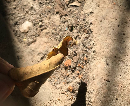 photo1642091819 (1).jpeg