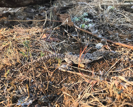 photo1642091819 (2).jpeg