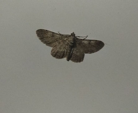 photo1643818936 (2).jpeg