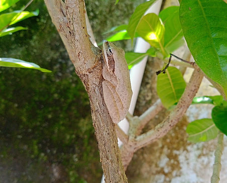 IMG_20220824_115311 (1).jpg