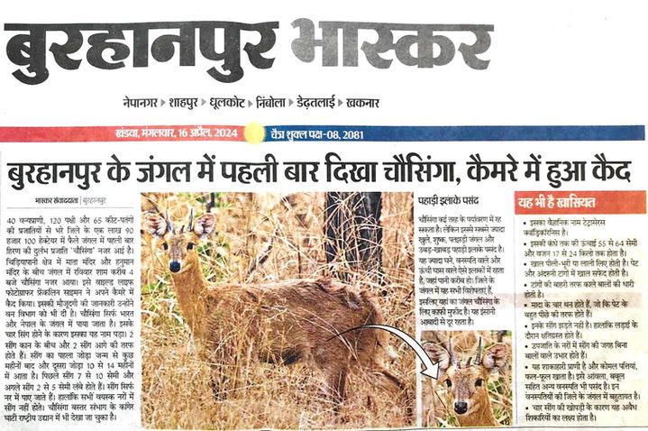 WhatsApp Image 2024-07-07 at 8.09.27 PM (1).jpeg