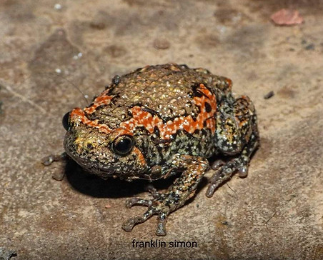 WhatsApp Image 2023-09-19 at 2.32.13 PM.jpeg