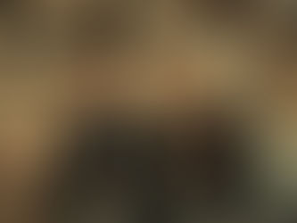 Bro Culture and Collapse: A Perfect Storm