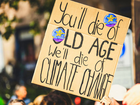 Collapse Timeline: A Reality-Based Projection
