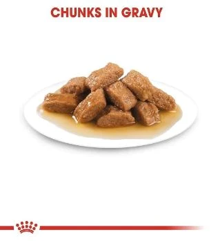 Thumbnail: Royal Canin Medium Adult Wet Dog Food