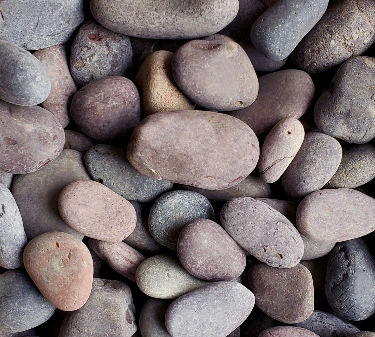 Mexican Red Beach Pebbles