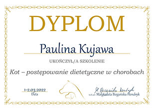 Kot - postępowanie dietetyczne w chorobach