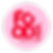 FOODNUT LOGO rond.png