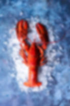 Kreeft staand.jpg