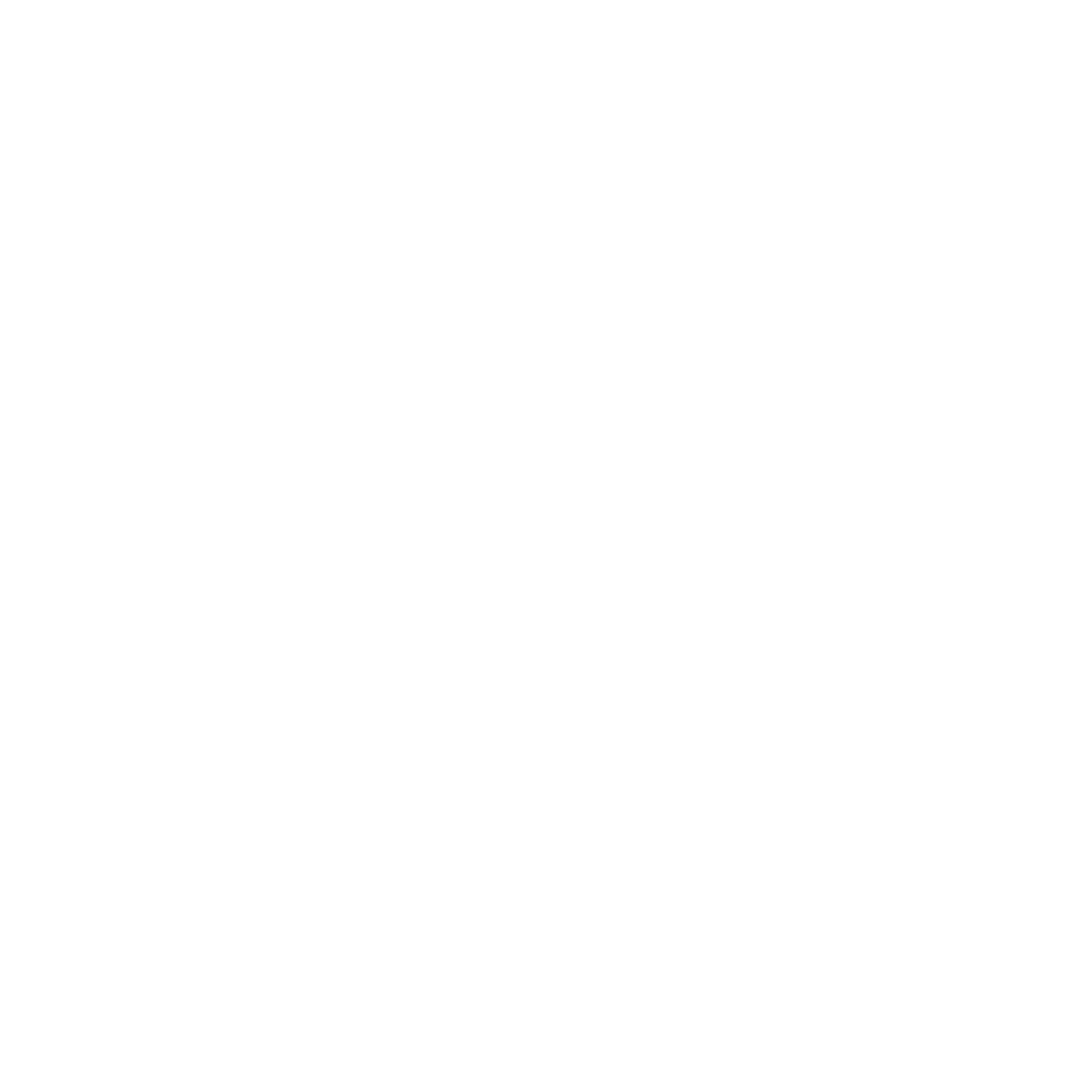 FOODNUT LOGO DEF_wit.png