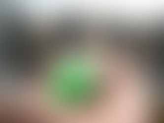 Renters' Rights: Landlords now legally entitled to souls