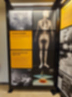 X-ray display highlights dental and skeletal images. Yellow panels feature text on health imaging history. Monochrome and color graphics.